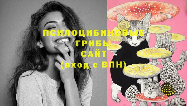 СК Балахна