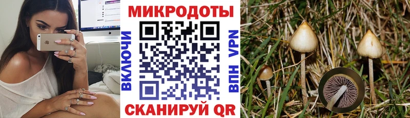Галлюциногенные грибы прущие грибы  Пионерский 