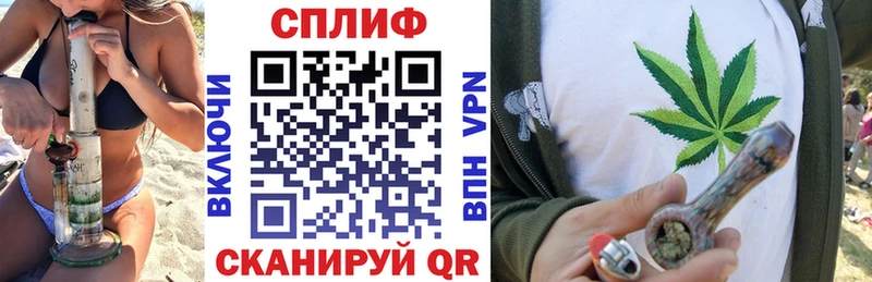 как найти закладки  Пионерский  гидра сайт  Конопля семена 